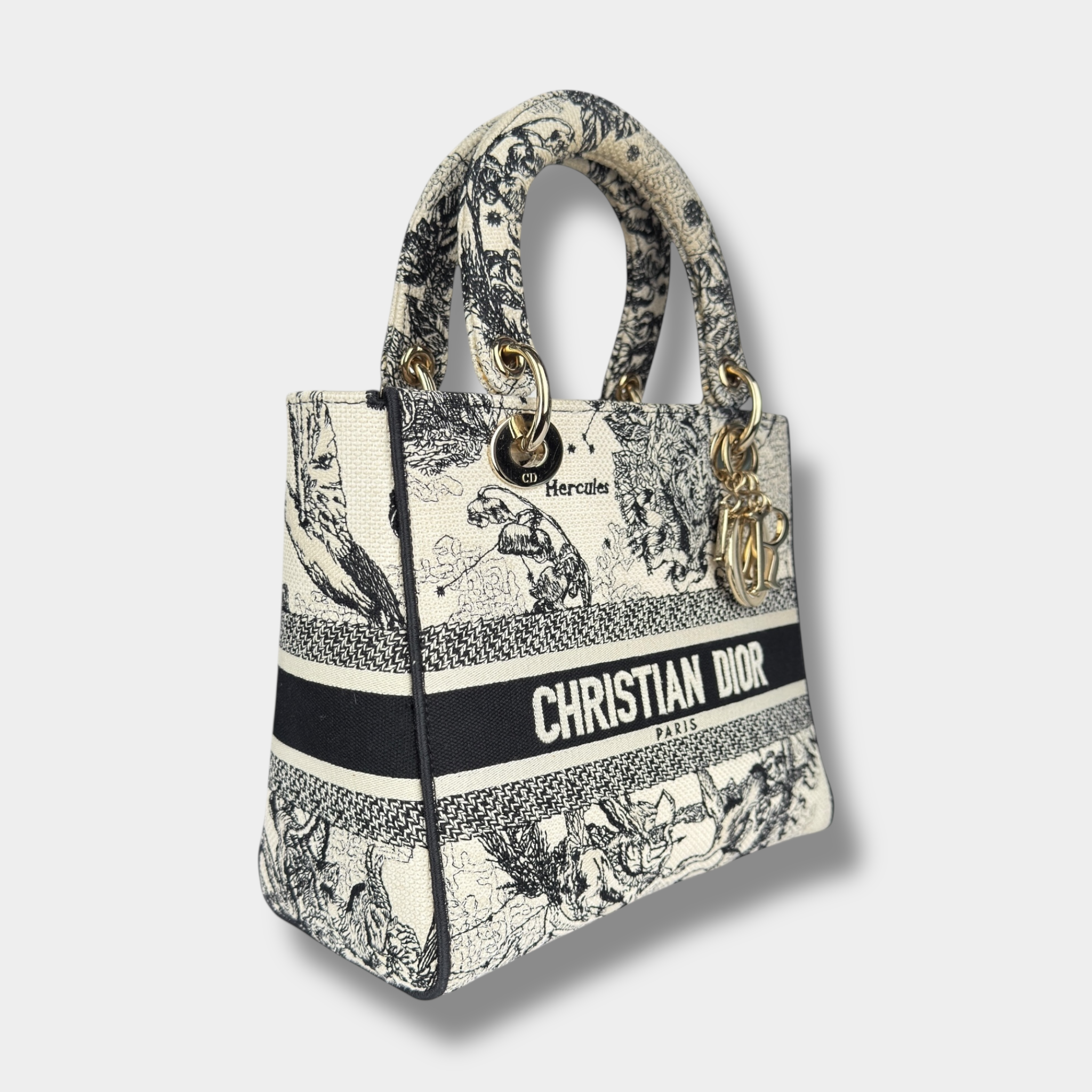 Christian Dior Lady Dior D-Lite Hercules Canvas Ivory Black