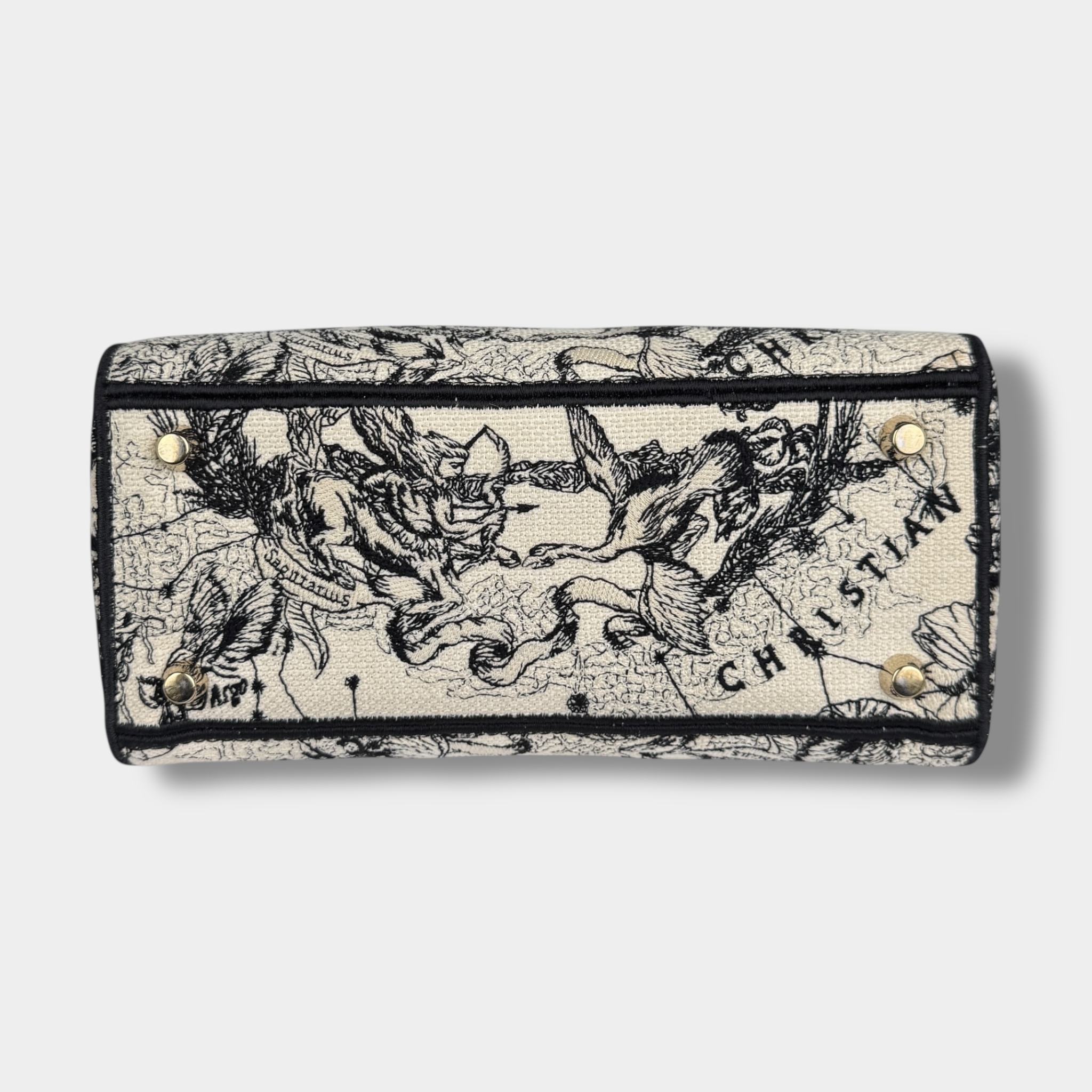 Christian Dior Lady Dior D-Lite Hercules Canvas Ivory Black