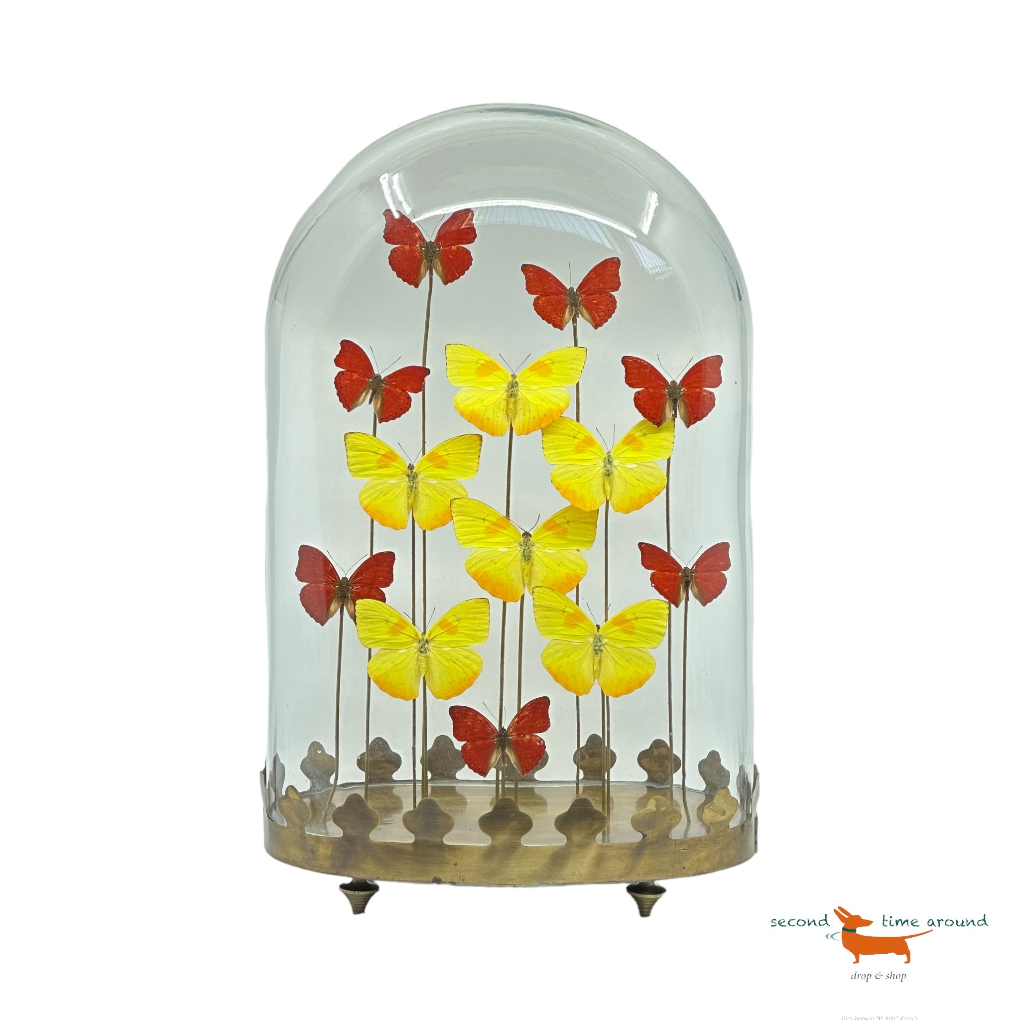 Butterflies under oval Bell