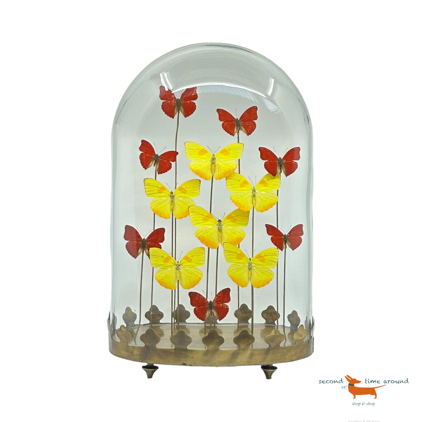 Butterflies under oval Bell