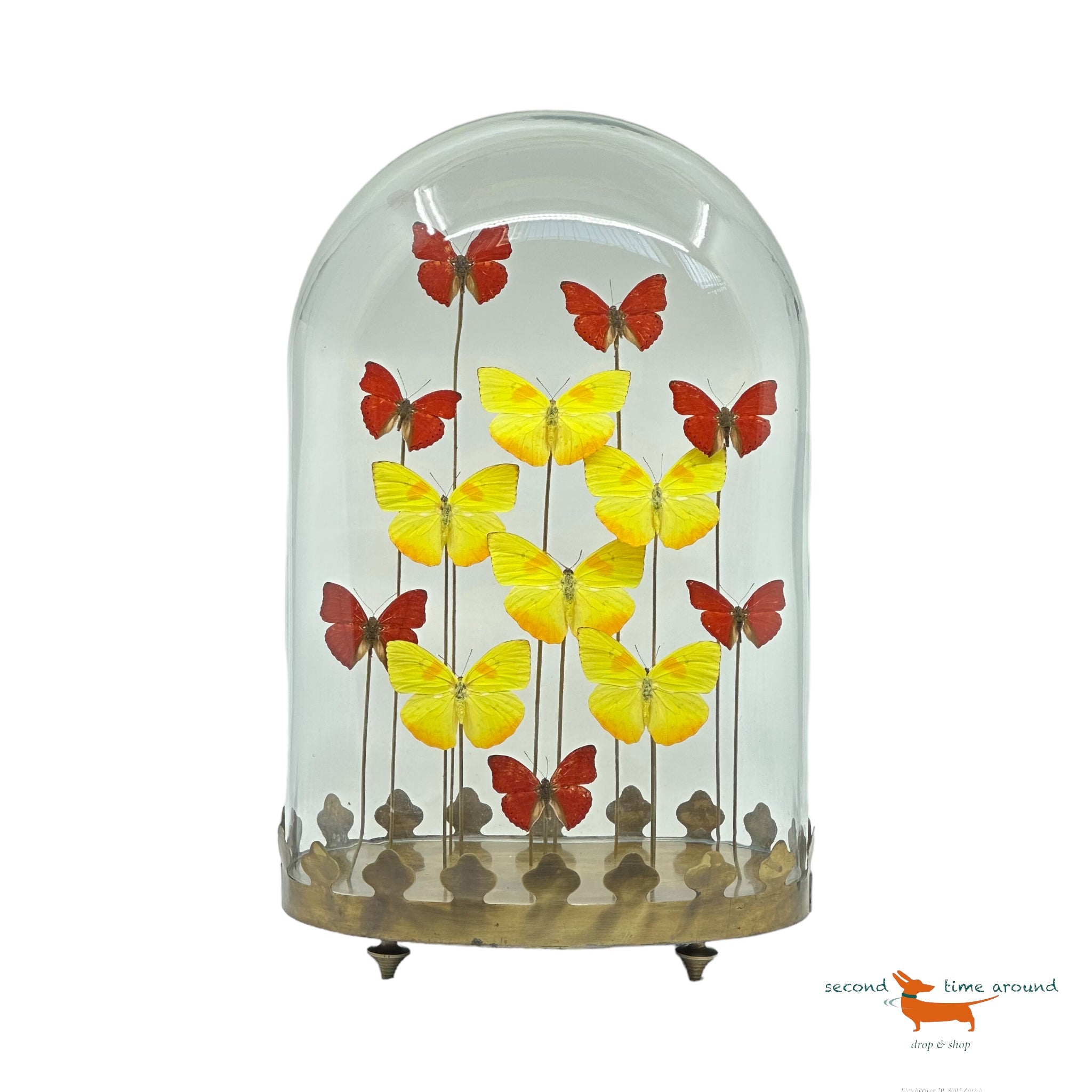 Butterflies under oval Bell