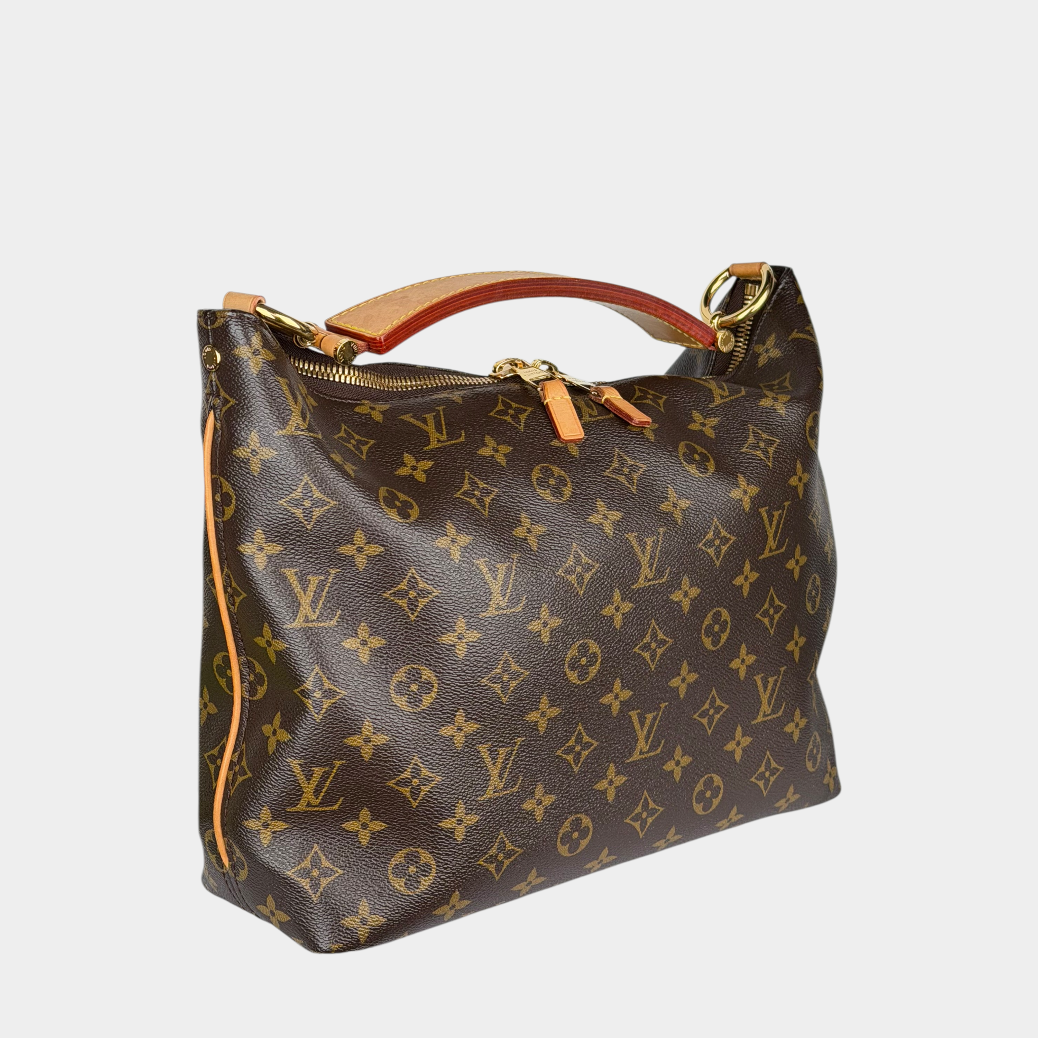 Louis Vuitton Sully Bag