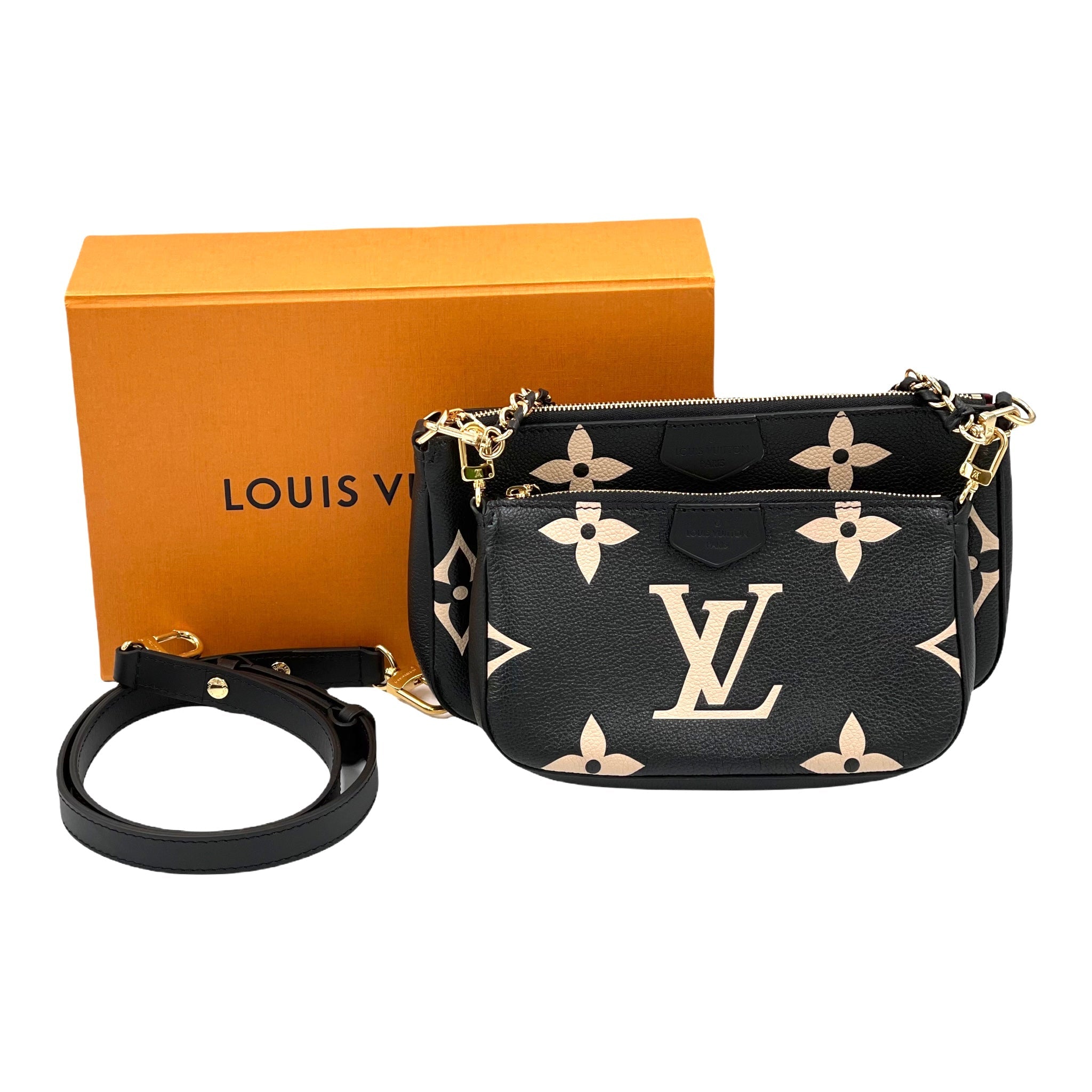 Louis Vuitton Multi Pochette Accessoires Bag