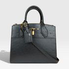 Louis Vuitton City Steamer Bag in Ostrich