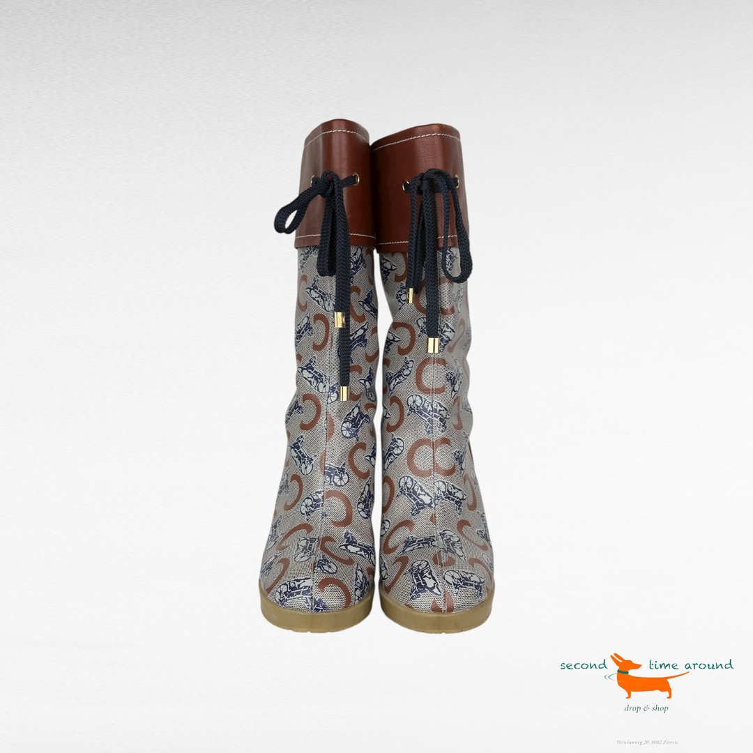 Celine Boots