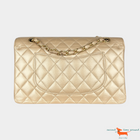 Chanel Classic Medium Double Flap