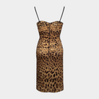 Dolce&Gabbana Leopard Dress