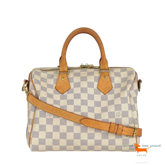 Louis Vuitton Speedy 25 Bag