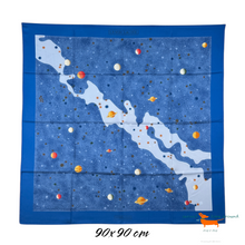 Hermes Silk Scarf La Voie Lactee by Wlodek Kaminski