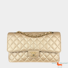 Chanel Classic Medium Double Flap