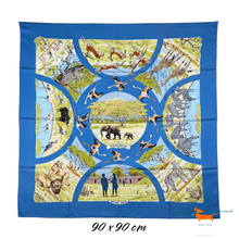 Hermes Silk Scarf Tanzanie by Robert Dallet