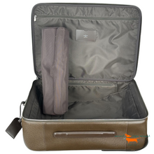 Louis Vuitton Trolley