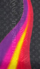 Louis Vuitton Scarf