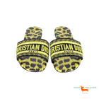 Christian Dior Slippers