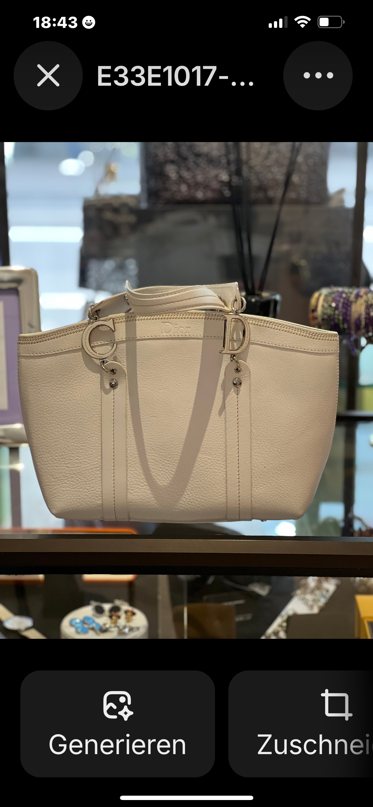 Dior Bag