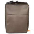 Louis Vuitton Trolley