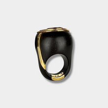 Sanalitro Ring