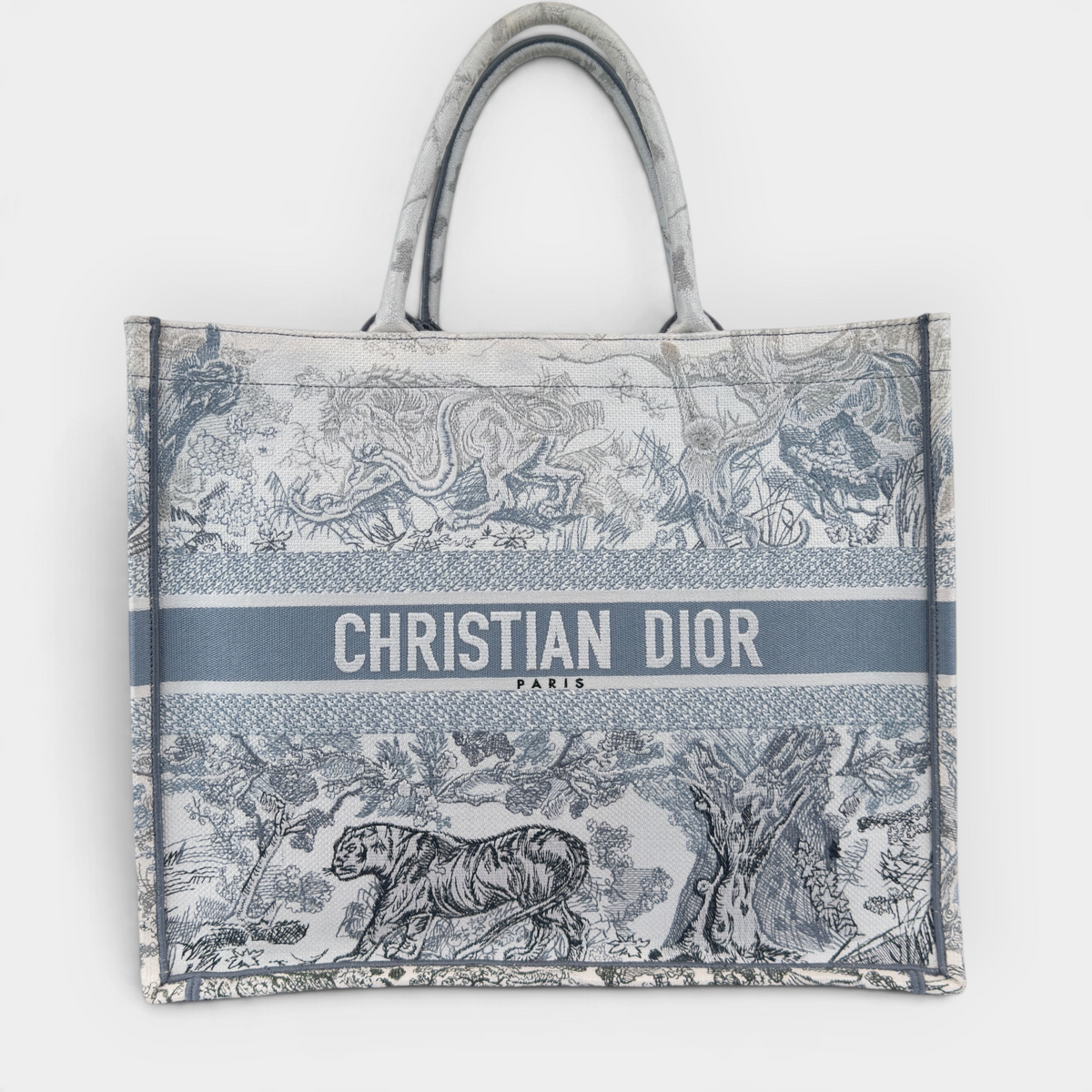 Christian Dior Book Tote Bag