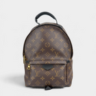 Louis Vuitton Palm Springs Backpack