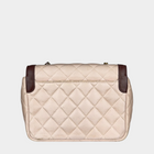 Chanel Two Tone Day Flap Bag