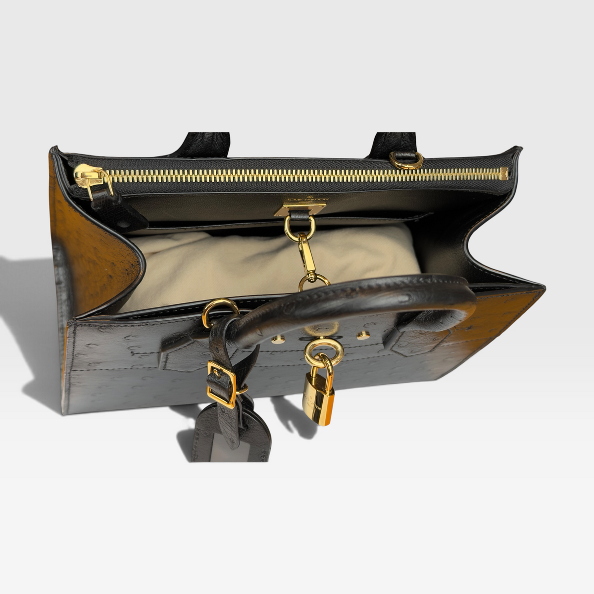 Louis Vuitton City Steamer Bag in Ostrich