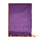 Hermes Cashmere Blanket