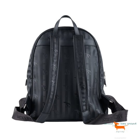 Mollerus Glarus Backpack