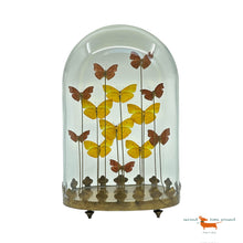 Butterflies under oval Bell