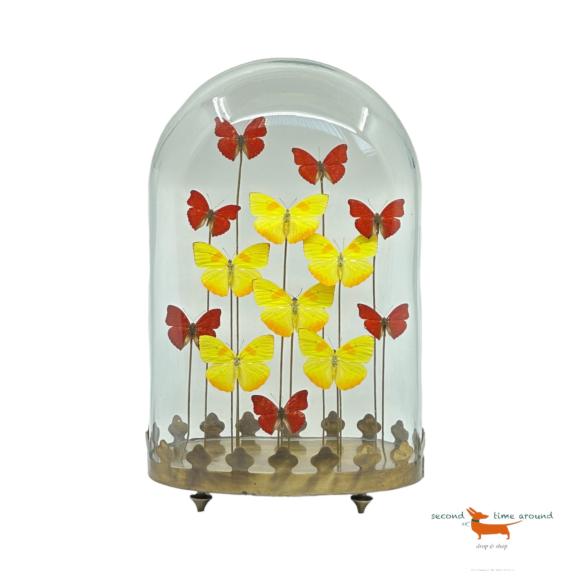 Butterflies under oval Bell