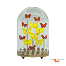 Butterflies under oval Bell