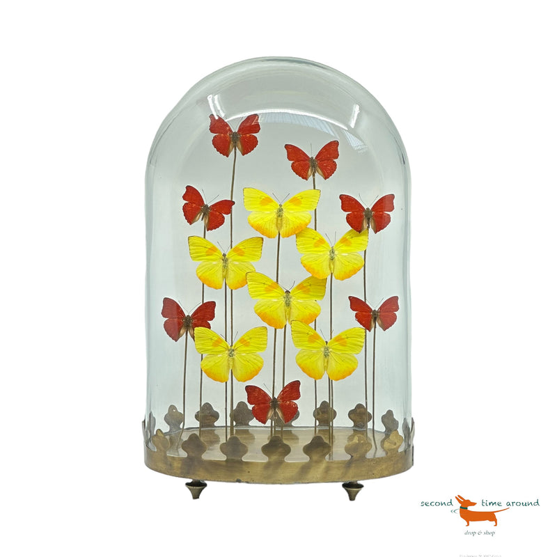 Butterflies under oval Bell