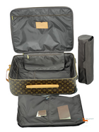 Louis Vuitton Trolly LV Limited Edition Bag