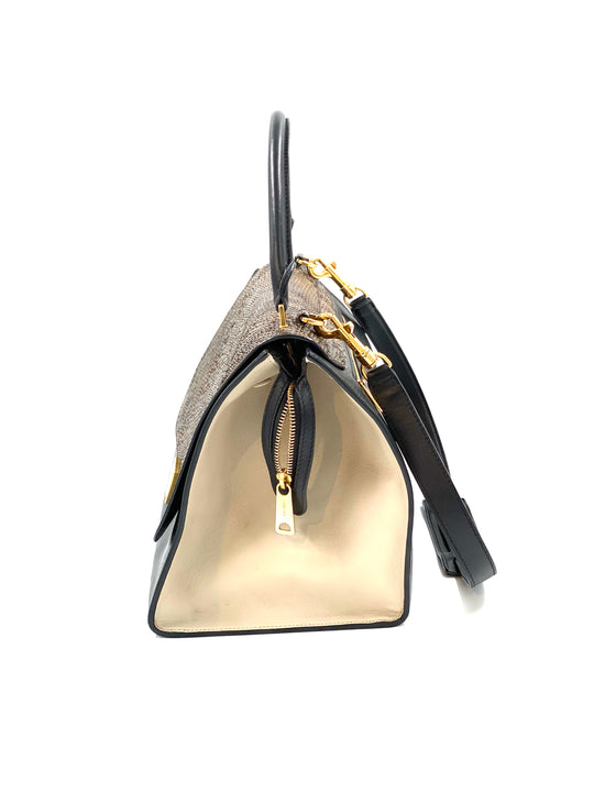 Celine Trapeze medium model handbag python suede