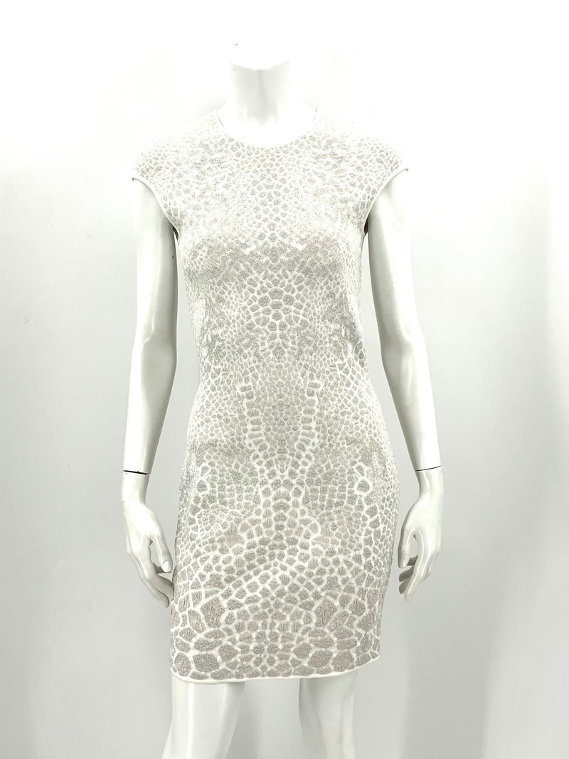 Alexander McQueen Kleid