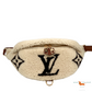 Louis Vuitton Bumbag Monogram Teddy Fleece